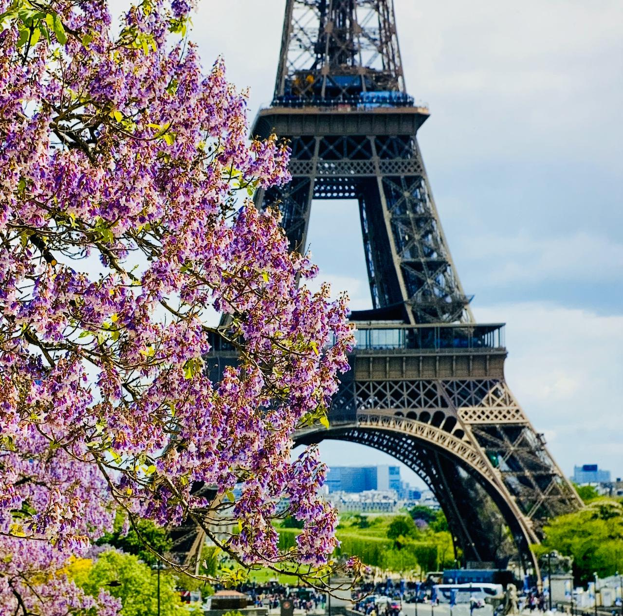 Весна в Париже/м